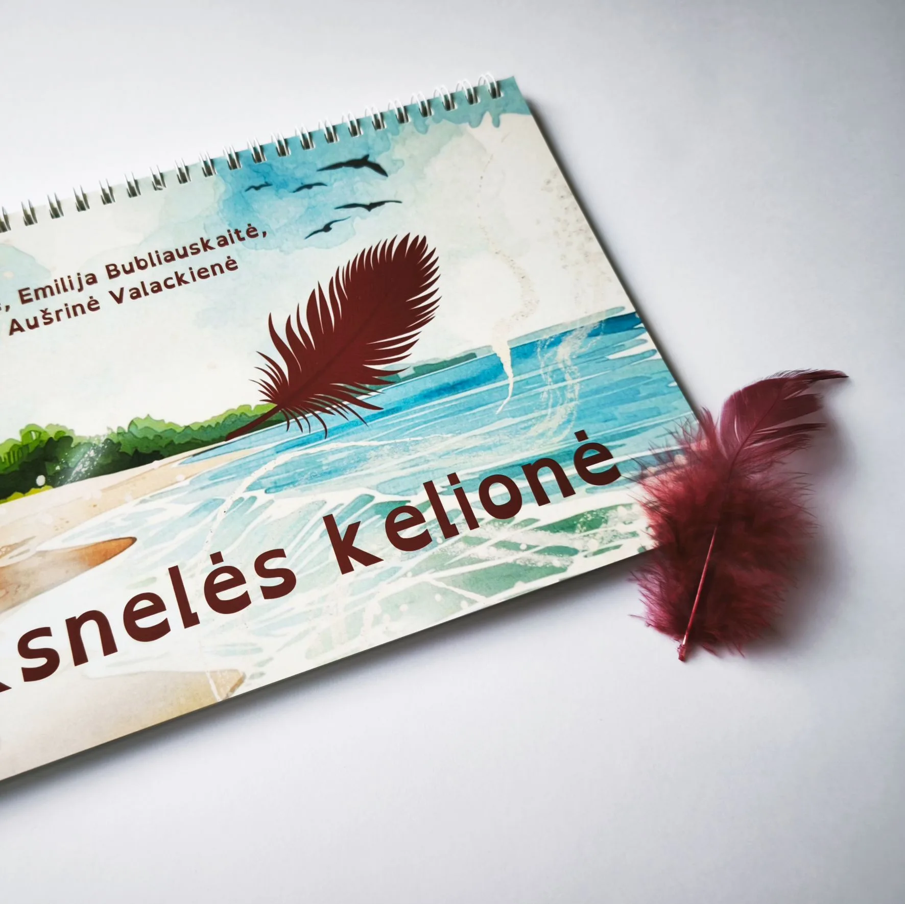 Plunksnelės kelionė